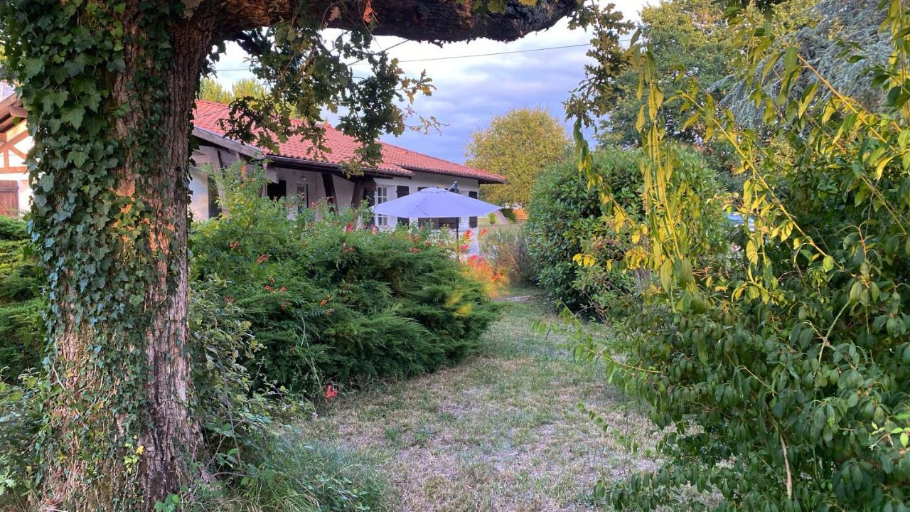 Cool Landes Villa Sainte-Eulalie-en-Born Eksteriør billede